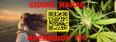 стаф Моздок