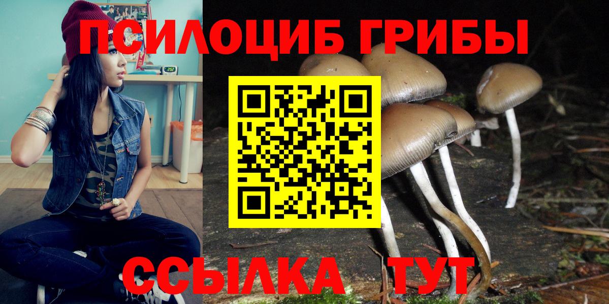 Псилоцибиновые грибы ЛСД Энгельс