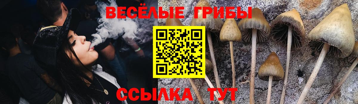 Галлюциногенные грибы GOLDEN TEACHER  Галлюциногенные грибы мицелий  Энгельс  Вход с VPN 